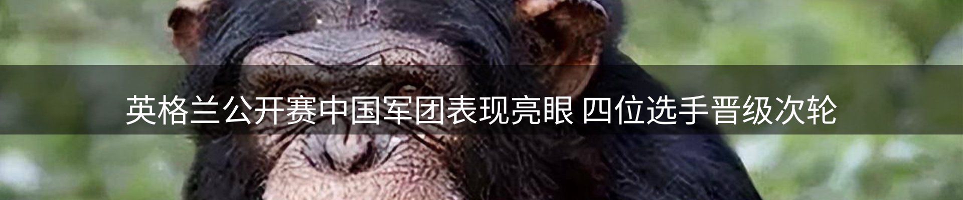 每日前沿